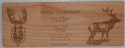 Wood taxidermy